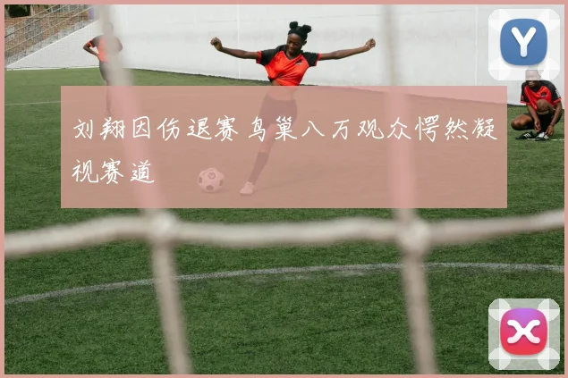 刘翔因伤退赛鸟巢八万观众愕然凝视赛道