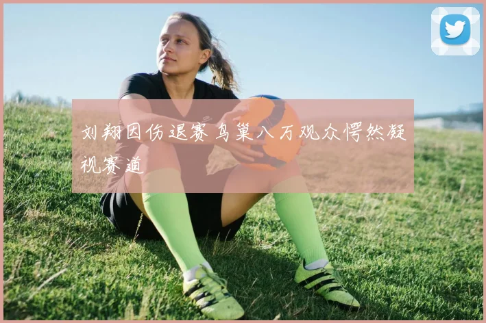 刘翔因伤退赛鸟巢八万观众愕然凝视赛道