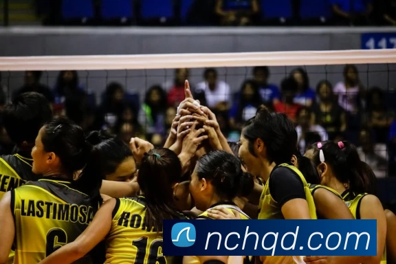 亚搏app登陆·(中国)官方网站服务体系