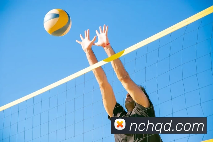 亚搏app登陆·(中国)官方网站APP 体育赛事宣传图